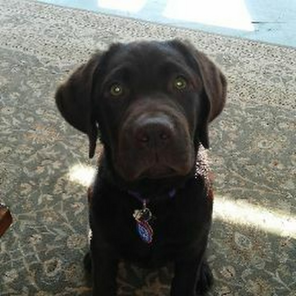 Meet your Posher, Ted